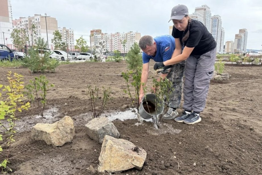 На городской дамбе в Хабаровске высадили "дальневосточную сакуру"