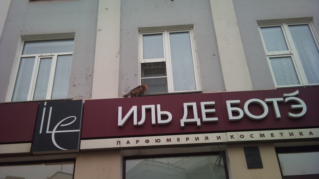 Длинные очереди растянулись в парфюмерно-косметических магазинах города , Фото с места события собственное