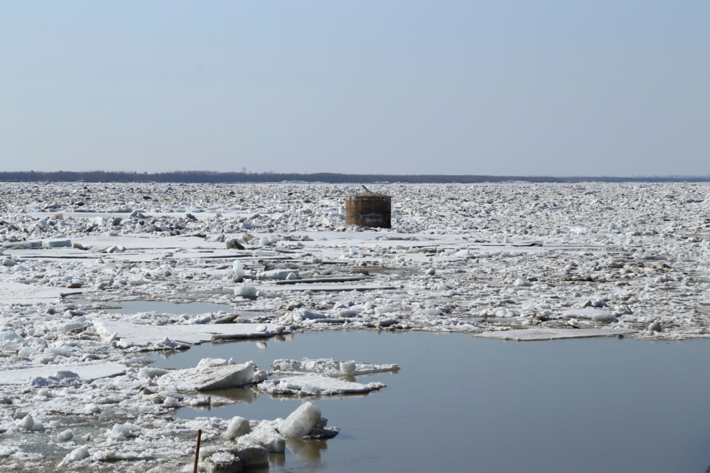 Река Амур приковала к себе внимание хабаровчан, Фото с места события собственное