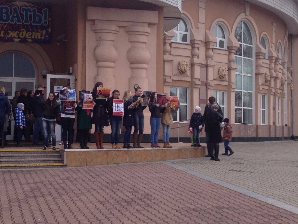 Акция, Фото с места события собственное