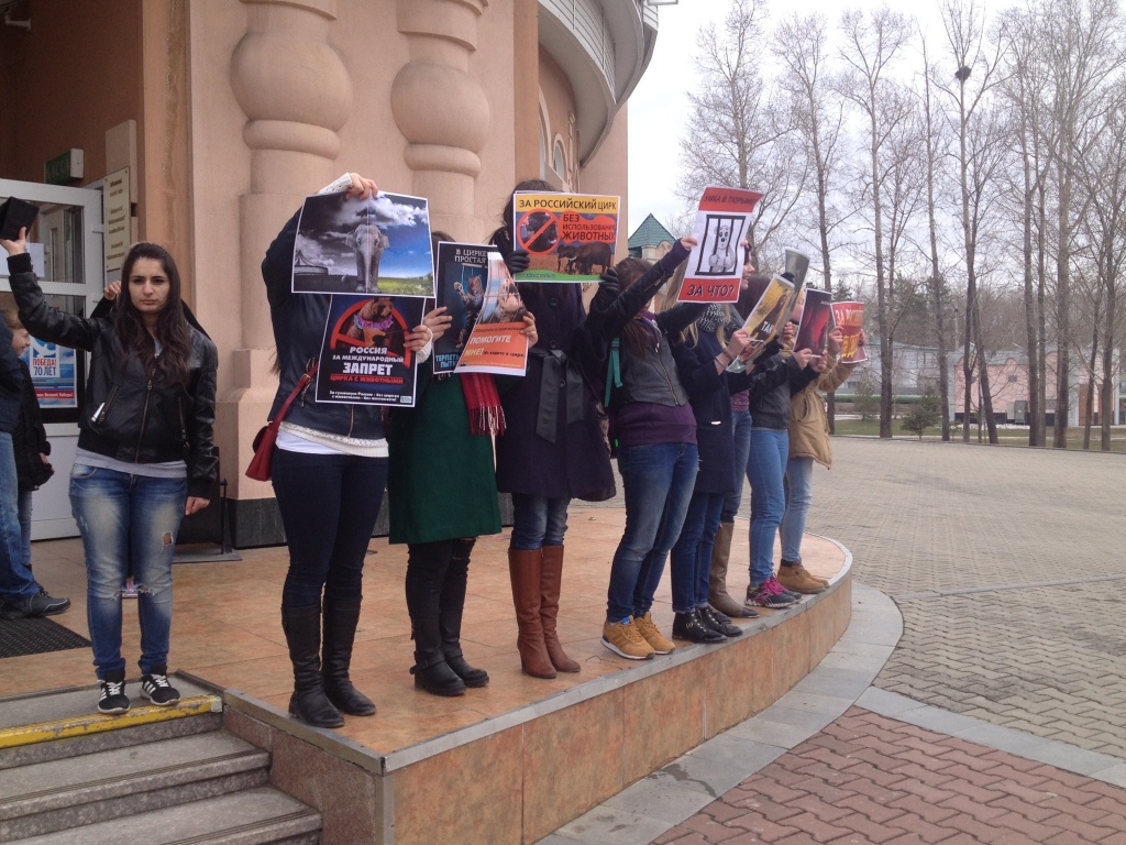 Акция, Фото с места события собственное