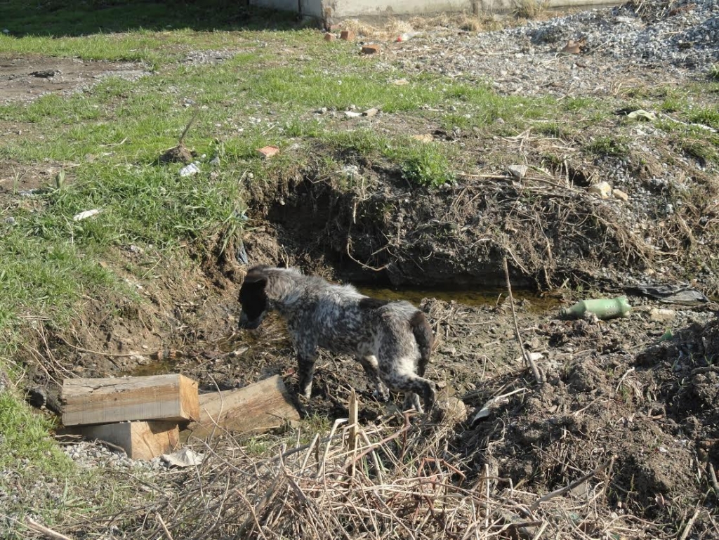 Дорогу на кладбище под Хабаровском "улучшили" булыжниками, Фото с места события из других источников