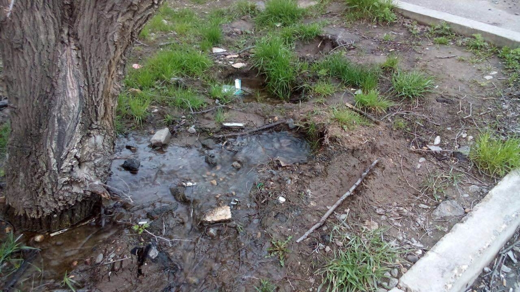 Третий месяц хабаровские коммунальщики в упор не видят самостийный источник