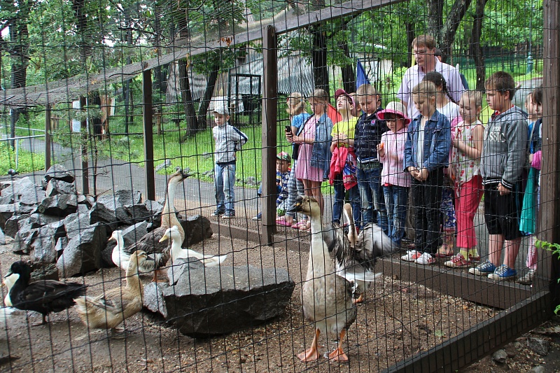 Экскурсия в зоосад