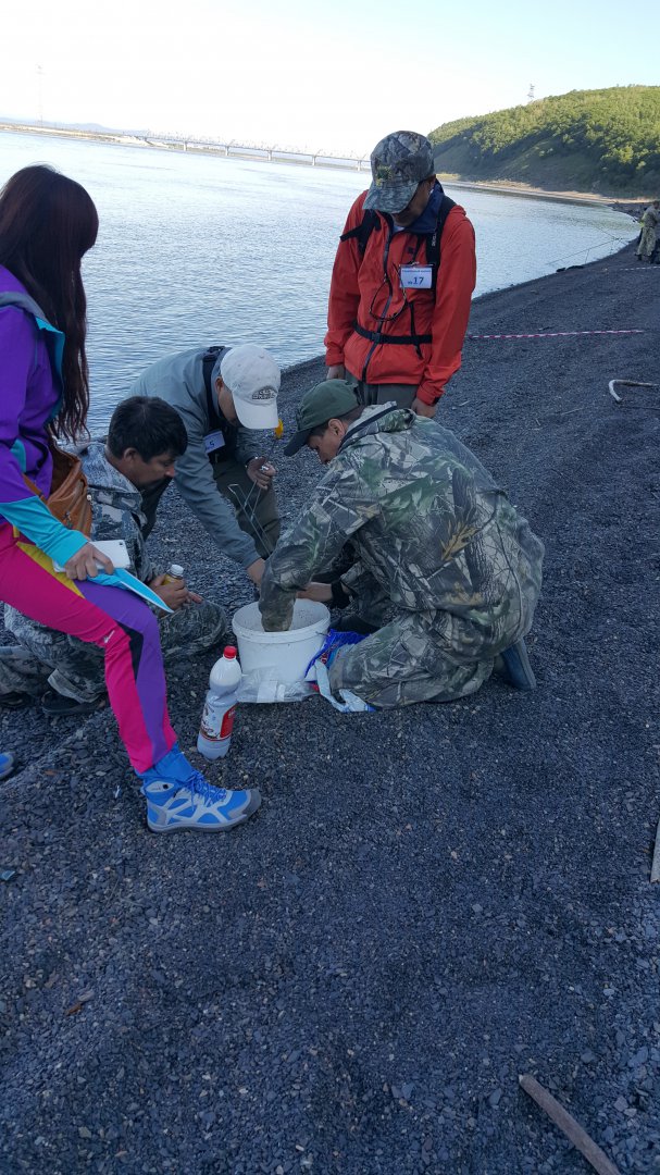 Иностранным гостям пришлось помогать