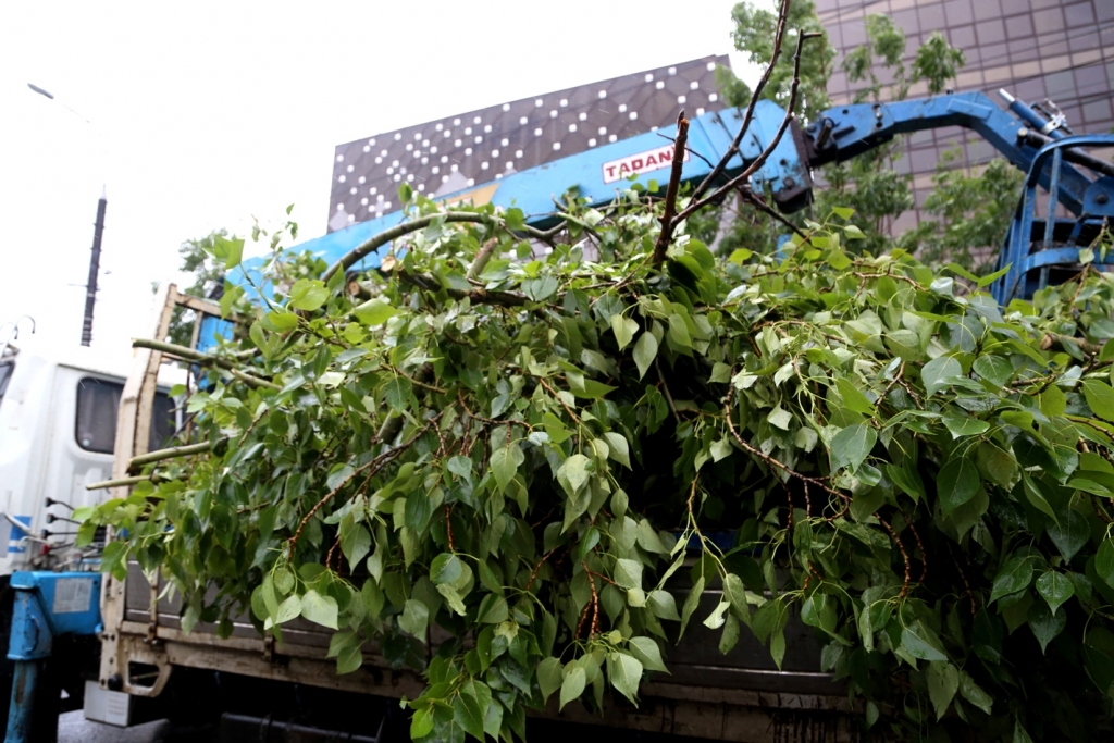 Плачевные последствия оставил после себя разбушевавшийся в Хабаровске тайфун "Чан-Хом"