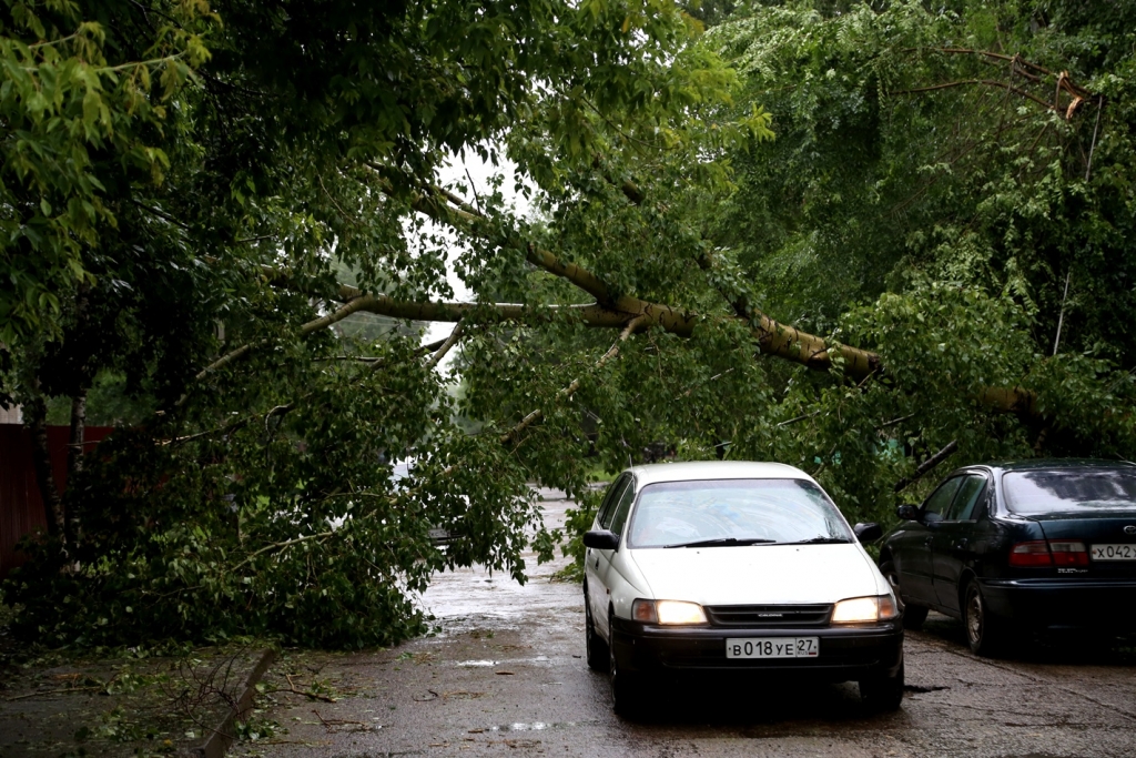 Плачевные последствия оставил после себя разбушевавшийся в Хабаровске тайфун "Чан-Хом"