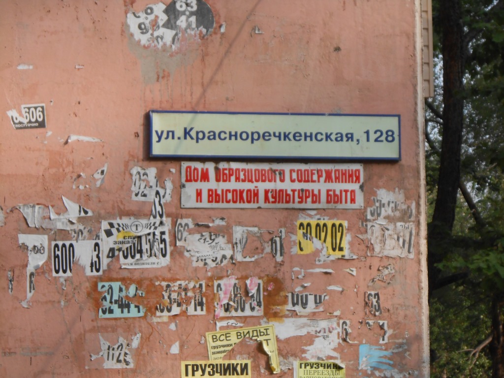 Детскую площадку в Хабаровске оставили без помощи под гнетом поваленных тополей