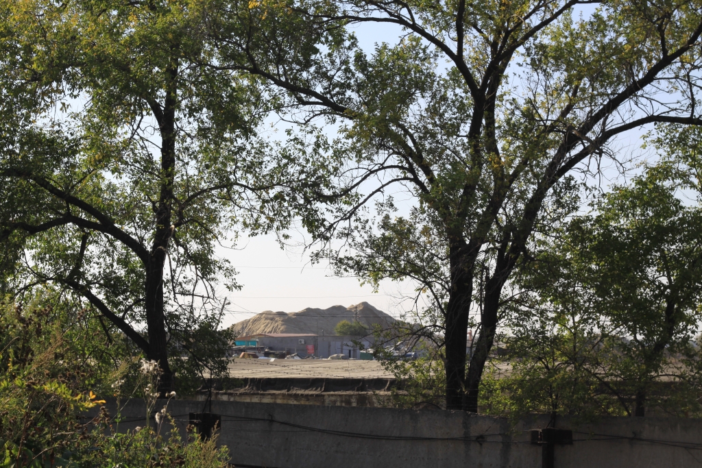 Строительство дамбы