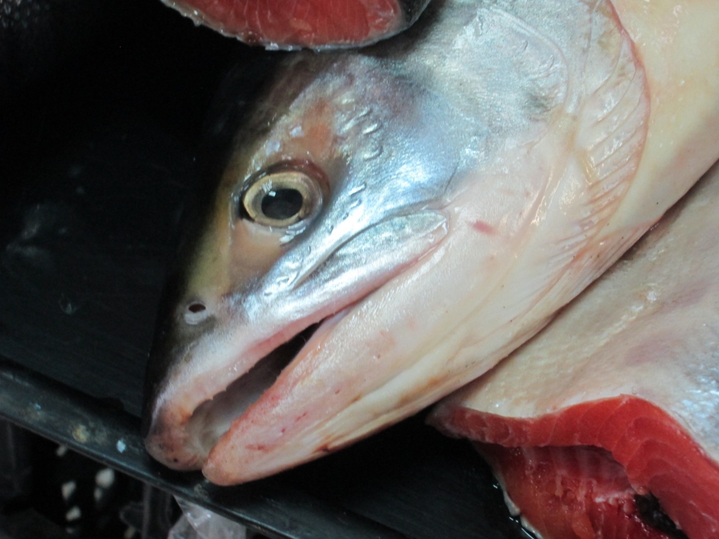 Цены на рыбу в Хабаровске остались прежними, но продукт разбирают неохотно