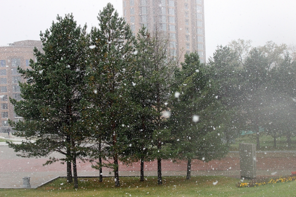 Первый снег