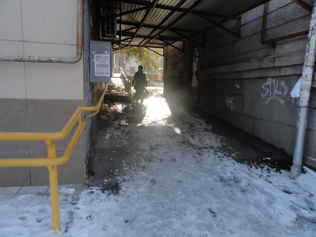 Общество слепых в Хабаровске направили по скользкой дорожке