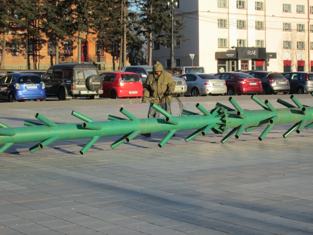 Высота елки составит 20 метров 