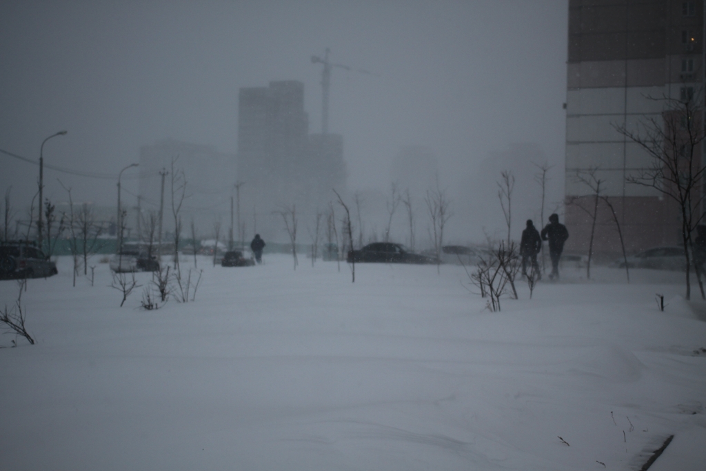 Снегопад 2015