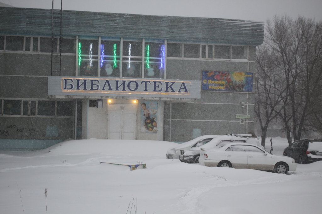 Снегопад 2015