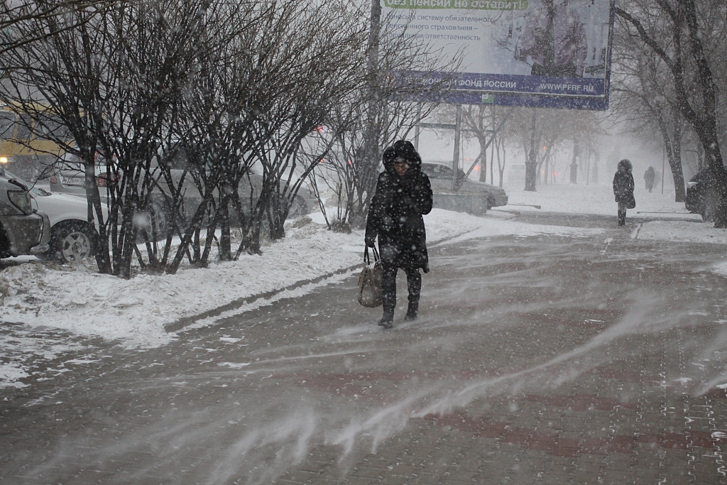Снегопад 2015