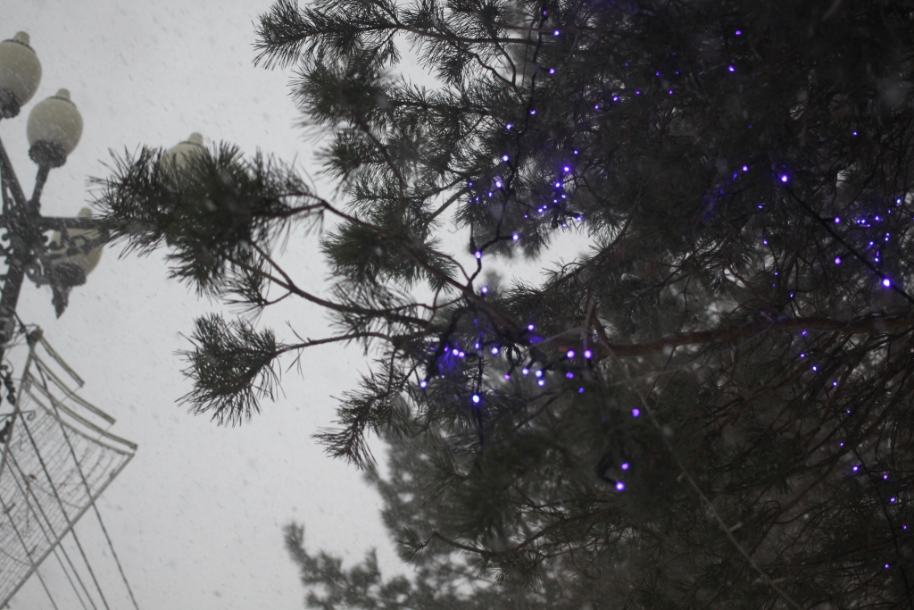 Снегопад 2015