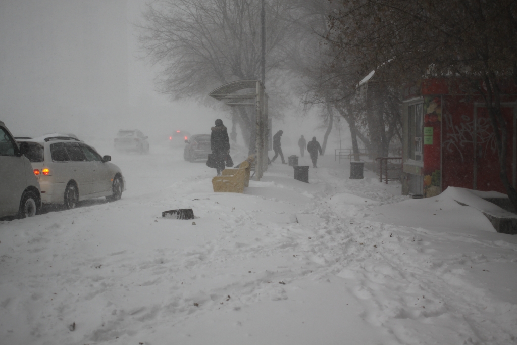 Снегопад 2015