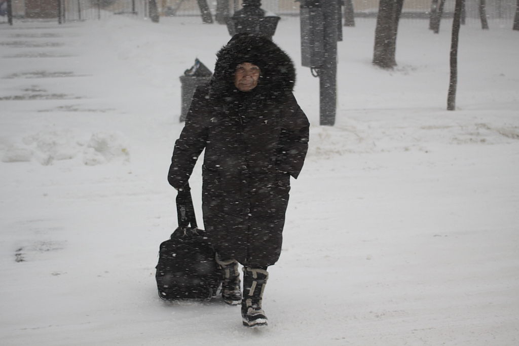Снегопад 2015