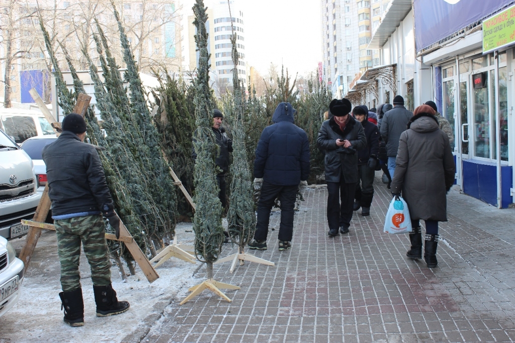 Елочные базары начали работу в Хабаровске