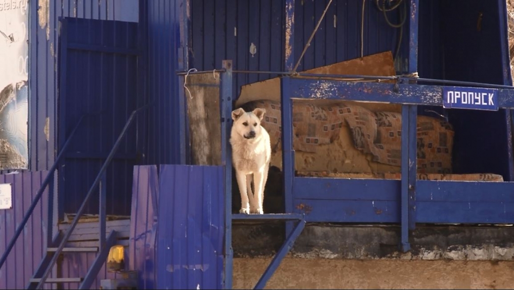 Фото территории СИЗО №1