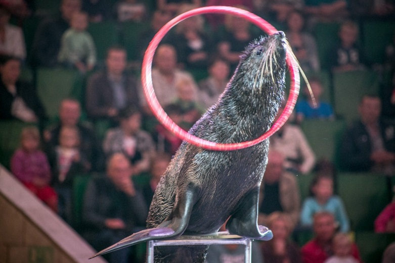 Выходные в Хабаровске