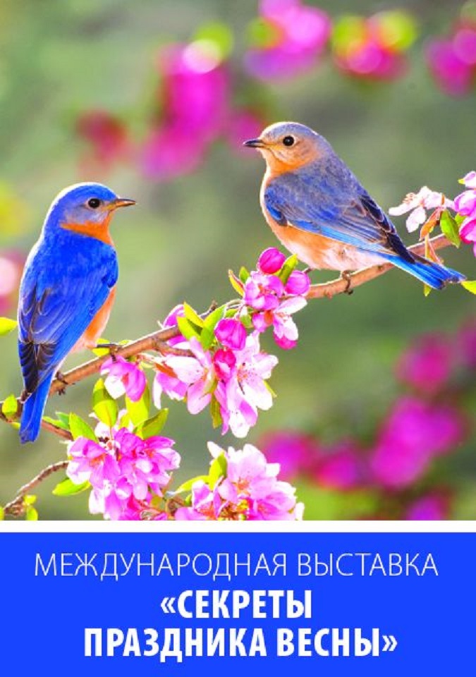 Выходные в Хабаровске