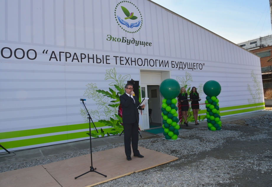 Первый в России завод по выращиванию зеленых культур открылся в Хабаровском крае