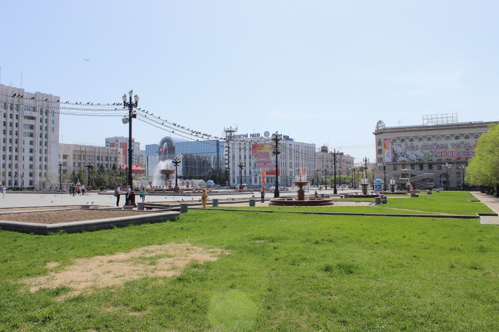 Газоны