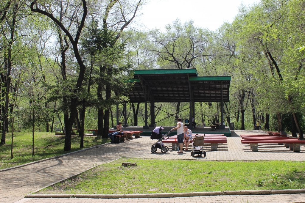 Газоны