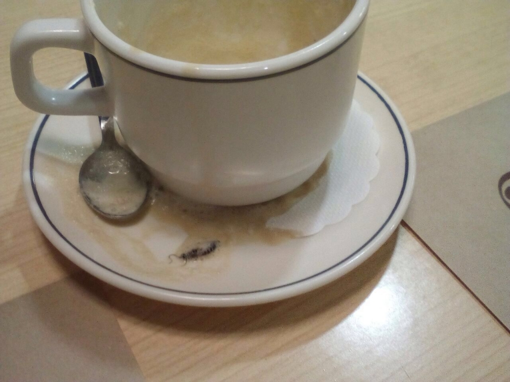 Таракан на дне чашки кофе в пиццерии "Синьор Помидор" привел в ужас хабаровчанку