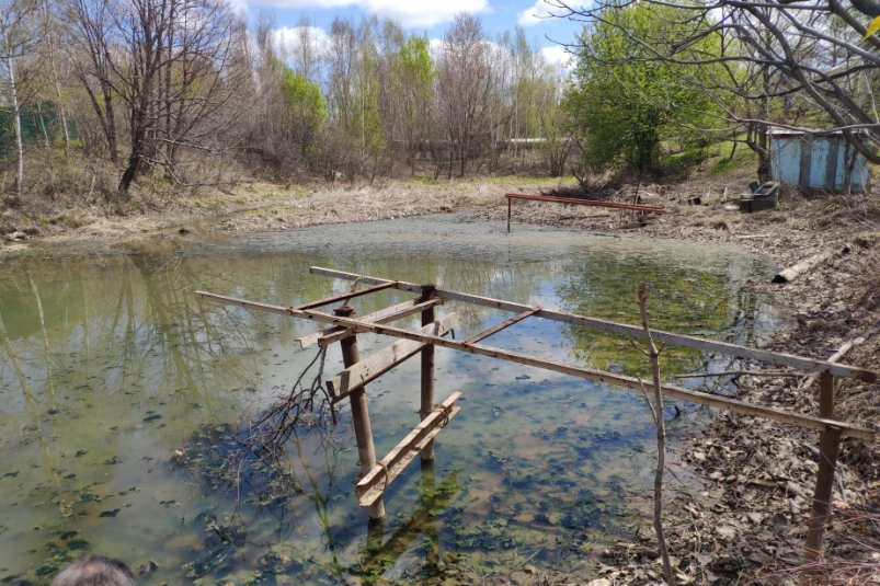 Виновников загрязнения водоема устанавливают экологические инспекторы в Хабаровске