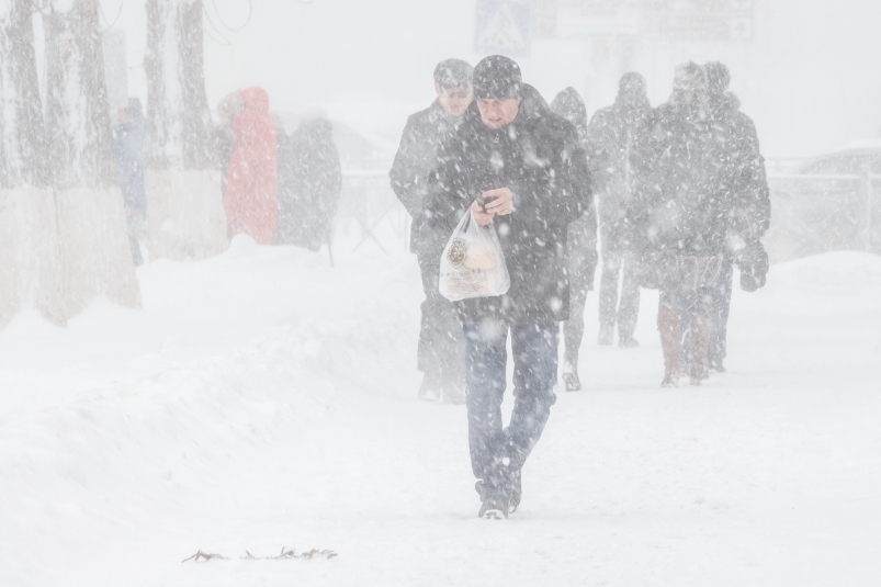 Снег ожидается в первый день президентских выборов в Хабаровске