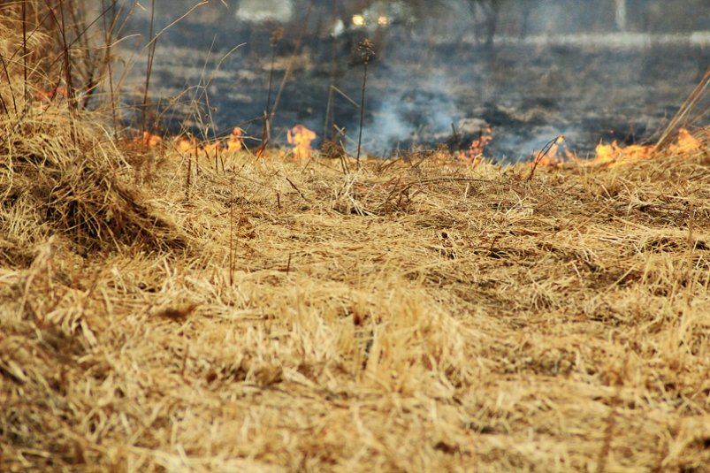 Более 28 км палов сухой растительности ликвидировали за сутки в Хабаровском крае