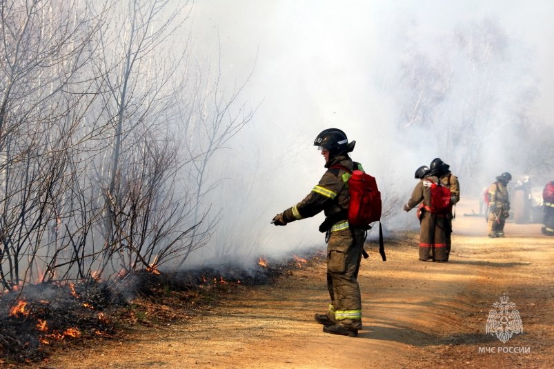 Более 50 сотрудников МЧС тушили два ландшафтных пожара в Хабаровском крае