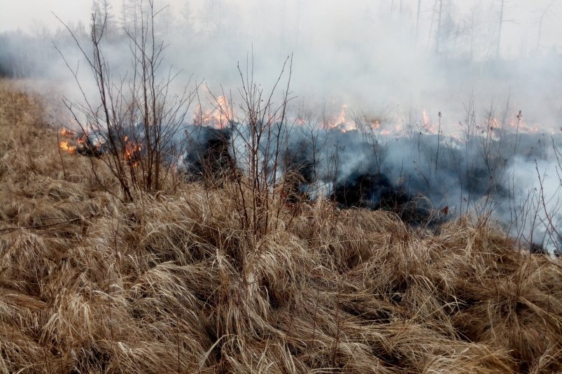 Сама природа помогла потушить пожар в заповеднике в Хабаровском крае
