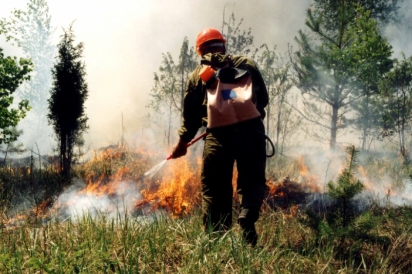 Интенсивные осадки притушили пожары в Хабаровском крае