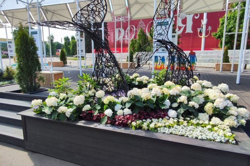 Там, где живут киты: Хабаровский край представил цветочную экспозицию на выставке 