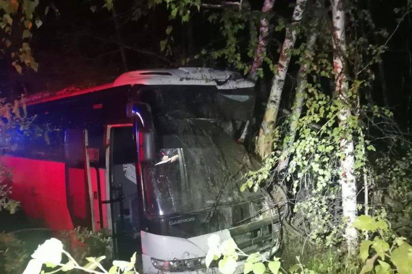 Автобус с пассажирами в Хабаровском крае врезался в дерево, водитель погиб