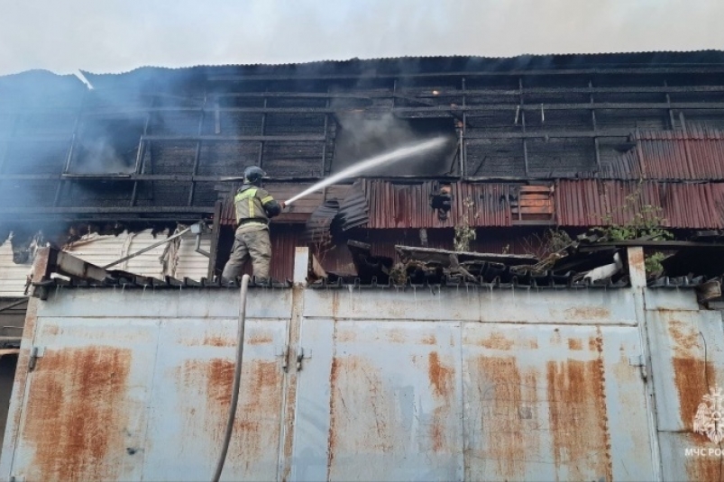 Пожар в южном микрорайоне Хабаровска полностью ликвидирован