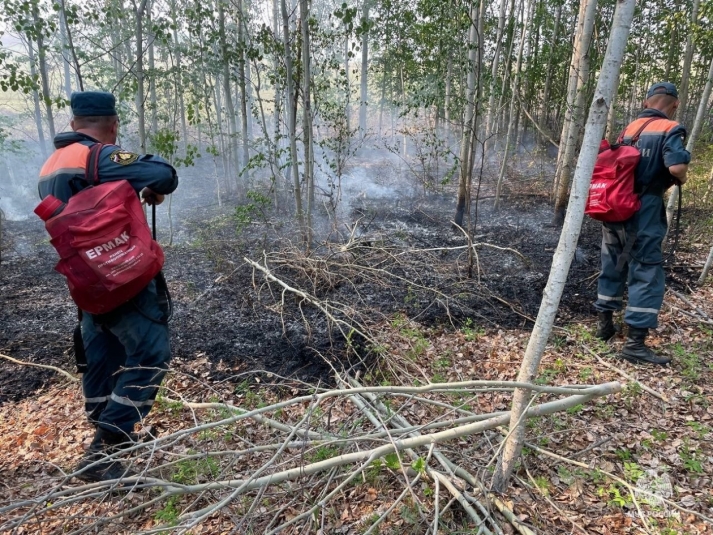 Хабаровские спасатели  оказывают помощь в тушении ландшафтных пожаров в Забайкалье