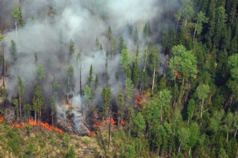 Прошедшие накануне грозовые дожди принесли в Хабаровский край 5 лесных пожаров