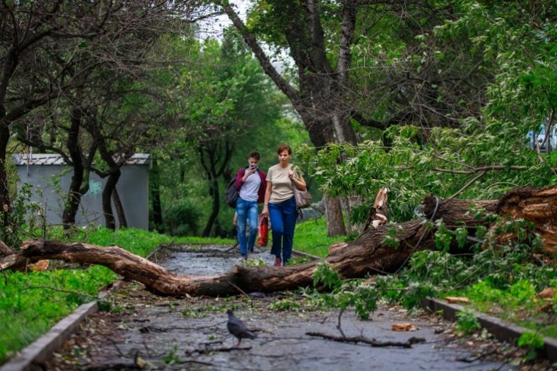 Прошедший ночью циклон больше всего навредил городу Бикин в Хабаровском крае