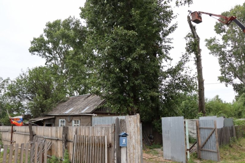 #МЫВМЕСТЕ: в Хабаровском крае участок ветерана СВО очистили от старых и опасных деревьев