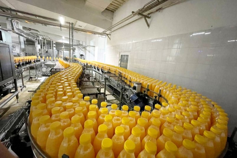 Рост производства молочной сыворотки отмечают в Хабаровском крае