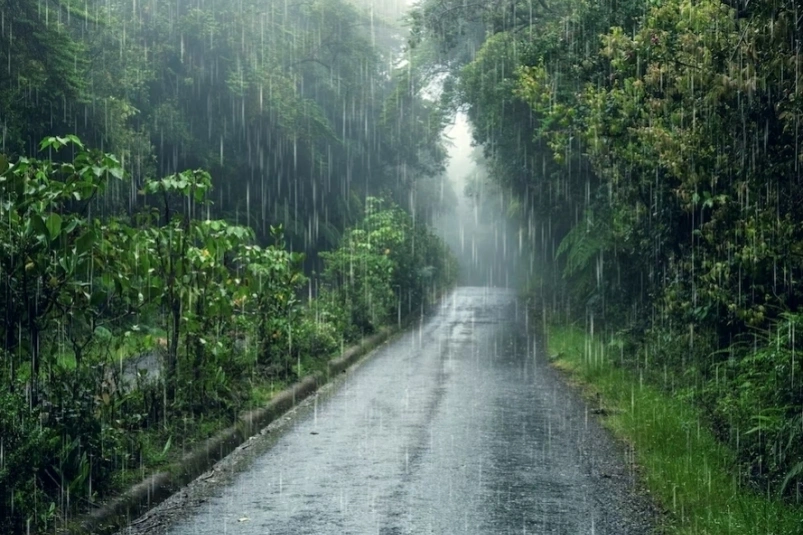 Дожди и ливни вернутся: о погоде в Хабаровском крае на выходные