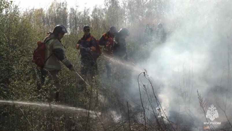 Ещё  в 5 районах Хабаровского края прогнозируют  ухудшение лесопожарной обстановки