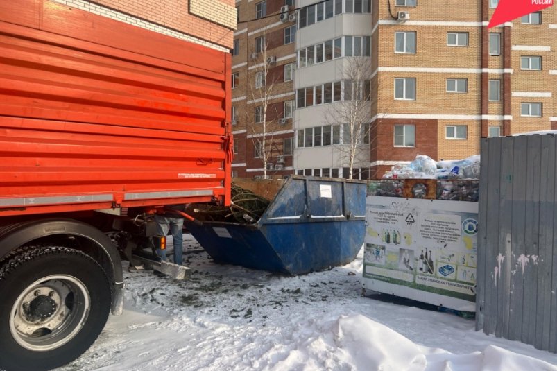 Новогодние деревья в Хабаровске обретают вторую жизнь в зоосаде