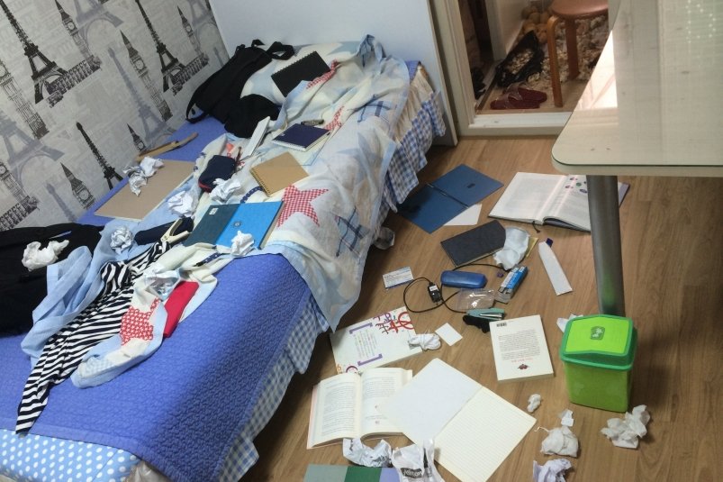 Чем грозит бардак в квартире: штрафы за антисанитарию кратно вырастут