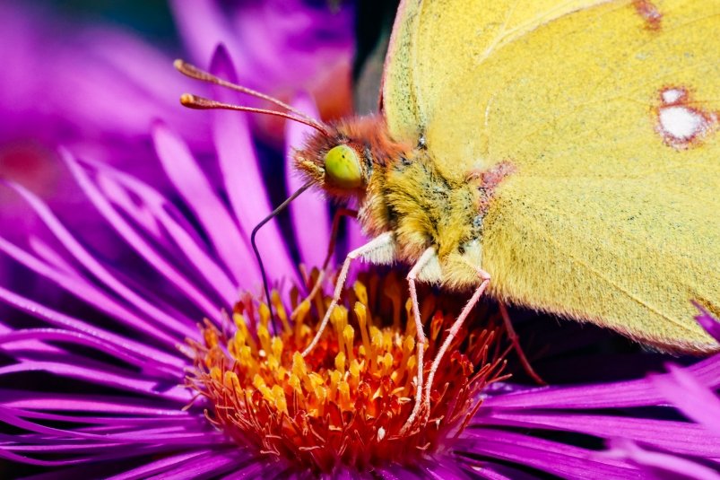 Июнь в марте? Некоторые регионы России накроет аномальное тепло